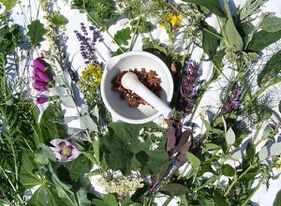 Herbal remedies for osteochondrosis